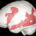   La imagen superior, en color rojo muestra la actividad cerebral al leer; la imagen inferior, la actividad cuando se usa el Internet. Si usted es un adulto de edad media […]