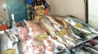 Para los comerciantes del Mercado la Nueva Viga es urgente fomentar el gusto por productos marinos en la población nacional, ya que el mexicano común consume 15 kilogramos de pescado, […]