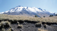 Se sanean 23.9 hectáreas en Nevado de Toluca La Protectora de Bosques (Probosque), en coordinación con autoridades del Ejido San Juan de las Huertas, llevó a cabo el saneamiento de […]