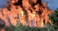 La Comisión Nacional Forestal (Conafor) dio el banderazo de salida a las acciones para enfrentar el fuego durante el presente estiaje. El Programa Nacional de Protección contra Incendios Forestales opera […]
