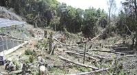 La Protectora de Bosques del Estado de México (Probosque) ha realizado 259 operativos en municipios de la entidad con vocación forestal y problemas de tala ilegal en lo que va […]