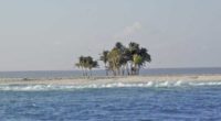 Nadie sabe con exactitud cuál es el número de islas que existen en México. Las cifras oficiales refieren un total de mil 644, de las cuales, mil 171 carecen de […]