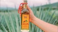La empresa mexicana Casa Mezcal Oro Oaxaca, destaca por su producción de esta bebida oaxaqueña que se lleva a cabo artesanalmente, con la misma técnica y materias primas de hace […]