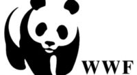WWF invita a ciudades de América Latina a unirse al Desafío de Ciudades 2021-2022, que hoy abre su registro, como una competencia amistosa diseñada para movilizar la acción climática de […]
