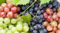 La Secretaría de Agricultura y Desarrollo Rural informó que al mes de noviembre se han producido 448 mil toneladas de uva, por lo que se encuentra garantizado el abasto en […]