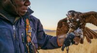 Patagonia, marca de ropa outdoors sustentable y referente global en la lucha contra el cambio climático, lanzó Game Hawker (El Halconero), un documental que muestra cómo las aves pueden enseñarnos […]