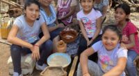 De acuerdo con la Secretaría de Salud federal, 1.4 millones los niñas y niños mexicanos de uno a cuatro años tienen niveles superiores a 5 mcg/dl de plomo en la […]