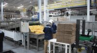 Henkel, líder mundial en productos de consumo e industriales, continúa expandiendo su capacidad de producción en México e inaugura su nueva fábrica de adhesivos de última generación en Guadalupe, Nuevo […]