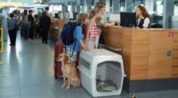 Viajar en avión no debe ser sinónimo de preocupación para quienes tienen mascotas, pues existen hoy opciones para hacer placentero el vuelo para todos. Para ello, Ceva Salud Animal, empresa […]