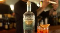 Gin de las californias presenta su versión del clásico negroni. Dentro de la región de la Alta y Baja California, surge Gin de Las Californias, un destilado único y artesanal […]