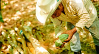 En el Día Nacional del Cacao y el Chocolate, Mars Wrigley refrenda su compromiso con el campo en México y particularmente el cacao a través de su programa Por Amor al Cacao que les […]