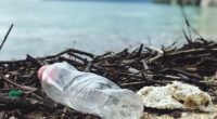 Empresas mundiales de la industria del plástico, instituciones financieras y organizaciones no gubernamentales (ONG) anunciaron una visión común de un Tratado Mundial eficaz y ambicioso para acabar con la contaminación […]