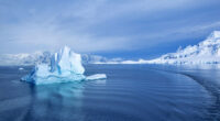 La pérdida creciente y preocupante de los mares helados tanto en el norte como en el sur del planeta conforman una realidad que se agrava por los efectos del cambio […]