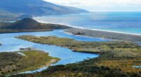 En un logro histórico para Latinoamérica la comunidad de Tierra del Fuego, en Argentina, ha conseguido proteger la totalidad de Península Mitre —un área de más de 485,000 hectáreas entre […]