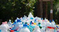 Según la Fundación Ellen MacArthur, el mayor esfuerzo voluntario mundial contra los residuos plásticos demuestra que es posible avanzar en un problema medioambiental tan urgente, aunque ahora se necesitan medidas […]