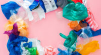 WWF hace un llamado a los gobiernos para apoyar prohibiciones globales y eliminar de forma gradual los productos de plástico de un solo uso que son «más peligrosos e innecesarios», […]