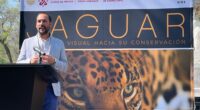 WWF México inauguró la exposición Jaguar, recorrido visual hacia su conservación, en la primera sección del Bosque de Chapultepec, la cual muestra sus esfuerzos y los de sus aliados por conservar […]