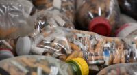 El movimiento “Para bien o para Mal”, encabezado por las organizaciones Ecoilter y World Cleanup Day, recolectó el pasado 2022, 12 millones de colillas de cigarrillos e México para reciclarlas, […]
