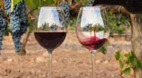 La historia del vino en México inició hace 500 años, y tiene las bodegas más antiguas del Continente Americano que son las de Casa Madero en Coahuila y siguen abiertas, […]