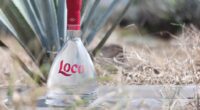 La marca Loco Tequila informa que la innovación es una prioridad, aspecto que permite ampliar su legado en la cultura y tradición tequilera. Así como preservar, transmitir y respetar los […]