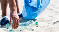 Empresas de México, Guatemala, Honduras y la República Dominicana participan en el proyecto pionero Huella Circular diseñado para prevenir la contaminación plástica en mares del Caribe. La iniciativa ofrece una […]