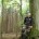 Un guardabosques en Alemania descubre que los árboles tienen conexiones sociales. Encuentra en ellas la capacidad de contar, aprender y recordar. El naturalista británico Charles Darwin fue uno de los […]