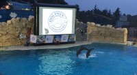La empresa Dolphin Discovery Six Flags, ubicado dentro del parque de diversiones en la ciudad de México, celebró su 6º aniversario con un evento abierto al público donde los invitados […]