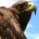 En el estado de Querétaro acaba de nacer el primer ejemplar de águila real mediante inseminación artificial, una técnica de reproducción asistida. Este es el primer ejemplar nacido en México […]