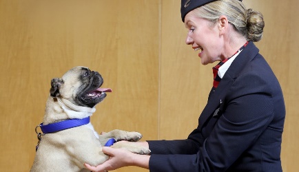 La aerolínea British Airways informó que en incluyo un canal de perros y gatos en su programación de entretenimiento en sus vuelos a partir de septiembre, Paws & Relax, será […]