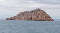 El proyecto turístico de Cabo Pulmo del municipio de Los Cabos, Baja California Sur fue cancelado, así lo anunció el Presidente Felipe Calderón Hinojosa, por no haber demostrado de manera […]