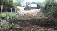 La Procuraduría Federal de Protección al Ambiente (PROFEPA) clausuró la apertura de un camino dentro del Parque Nacional Tulum, en Quintana Roo, debido a que las obras no cuentan con […]