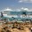 Se dio a conocer que en la temporada de cruceros 2013-2014 para Uruguay, en sus principales destinos turísticos, Montevideo y Punta del Este arribaron 237 cruceros, lo que representa un […]