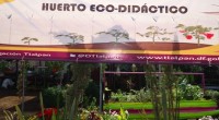 Ana Herrera (@ecohistoricas) Colaboradora Invitada Se llevó a cabo la inauguración del Huerto Eco-didáctico en la dirección de Ecología y Desarrollo Sustentable de la delegación de Tlalpan, sitio que busca […]