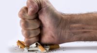 De haber cumplido las proyecciones de la Organización Mundial de la Salud (OMS) de reducir 30% del tabaquismo en México para el año 2020, podrían haberse evitado la pérdida de […]