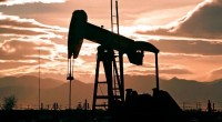 “A cada nuevo estudio divulgado, el fracking se revela más mortal y devastador y nos asegura que no queremos correr riesgos”, indicó Nicole Figueiredo de Oliveira, directora de la organización ambientalista internacional […]