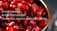 La granada, conocida como la ‘fruta perfecta’, ofrece una gran cantidad de beneficios al cuerpo como antioxidante, antiinflamatorio celular y protector contra los dañinos radicales libres, entre otros, indicó Mauricio […]