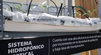 La Universidad Autónoma de San Luis Potosí presentó un sistema hidropónico vertical con luz led, que permite aprovechar de mejor manera el agua en el sector agrícola, además de incrementar […]