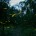 El avistamiento de las luciérnagas en la región de Nanacamilpa en Tlaxcala es un ritual mágico, atestiguarlo es presenciar una danza de la naturaleza. Por Ana Herrera Con los últimos […]