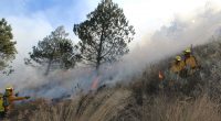 Brigadistas de la comunidad Ajusco y de la Comisión Nacional Forestal (Conafor) realizan acciones de prevención ante la temporada de incendios que dará inicio el 16 de enero con el […]