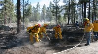 De las 10 mil 453.36 hectáreas afectadas por incendios forestales en lo que va del 2016, el 94.43 por ciento ha correspondido a arbustos, matorrales y pastizales que incluye hojarasca […]