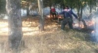 Irma Eslava Debido a que de enero a la fecha se han presentado 125 incendios forestales en el municipio de Naucalpan, personal de la Dirección General de Protección Civil y […]