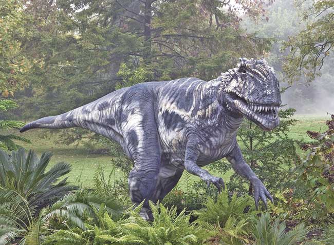 Nuevas causas de la desaparición de dinosaurios | Mi AmbienteMi Ambiente