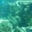 La Procuraduría Federal de Protección al Ambiente (Profepa) informó que el pasado 12 de julio 2013 encalló el yate “Dream Catcher” en el Parque Nacional Arrecife Alacranes en el estado […]