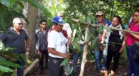En el mes de abril inició uno de los programas más ambiciosos de recuperación de la vainilla mexicana en el estado de Chiapas, en la frontera sur del país.  Cuatro […]