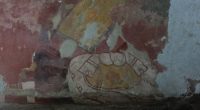 Con el fin de hacer un registro completo de la pintura mural existente en la antigua ciudad prehispánica de Teotihuacan, -ubicada en el Estado de México- que comprende 14,000 fragmentos […]