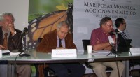Ante la llegada de la mariposa monarca a sus sitios de hibernación en el Estado de México, así como Michoacán, mayormente; autoridades como la Secretaría de Medio Ambiente (Semarnat) y […]