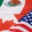 José Manuel López Castro Luis E. Velasco Yépez CAMPO Y DESARROLLO El 1 de enero de 1994 inició el Tratado de Libre Comercio entre México, Estados Unidos y Canadá (TLC, […]