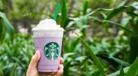 La cadena de cafeterías Starbucks anunció un nuevo sabor en sus bebidas y ofrecerá en todas las tiendas del país el Taro Frapuccino, una bebida de color y sabor exóticos. […]