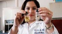 En el Instituto de Investigaciones en Materiales (IIM) de la UNAM, encabezado por Monserrat Bizarro Sordo desarrolla materiales que, con el uso de luz, son capaces de degradar compuestos orgánicos […]