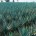 Investigadores mexicanos estudian las propiedades del agave azul o Agave tequilana Weber, para la obtención de fibras potencialmente útiles en el tratamiento de problemas de salud pública como obesidad y […]